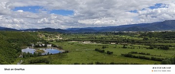 1000049024
