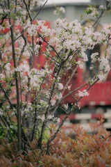 9B944EF5-79B9-413B-A8B2-3D76BC539509/L0/001