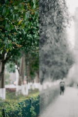 FA8AAF05-42E3-4F8E-8BC1-A3983DAFD18F/L0/001