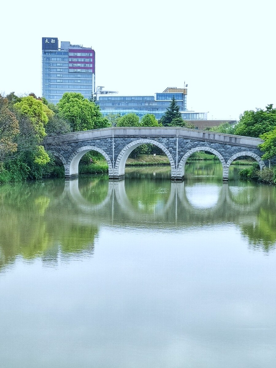 奉浦生态公园  桥