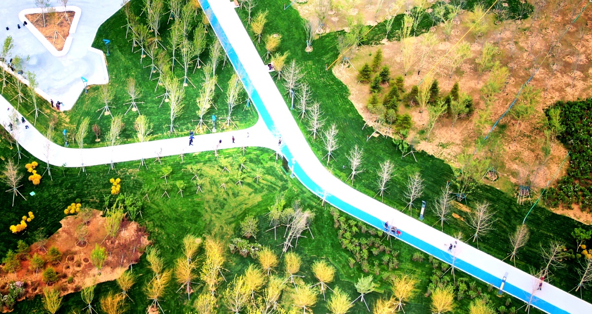 沈阳61中德公园