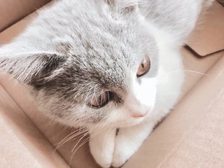 001