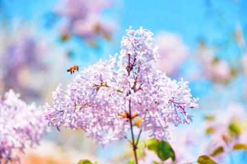 0F393D97-EEE9-45B0-9687-7DAA08B9C478/L0/001