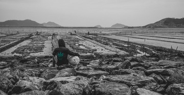 1193014