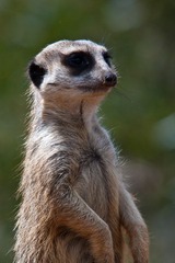DSC01643-12.jpg