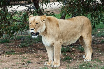 DSC01653-14.jpg