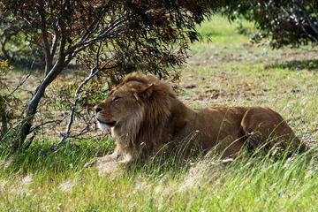 DSC01658-16.jpg