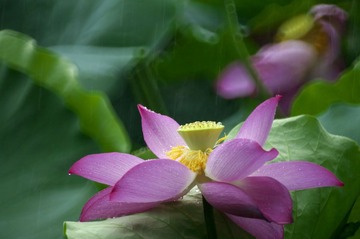 _AVI6759