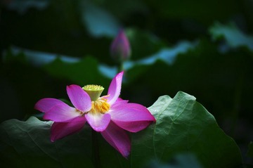 _AVI6773