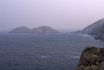 _AVI6568