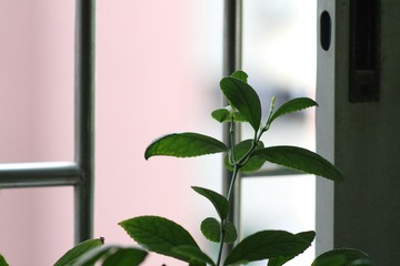 IMG_8257.JPG