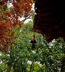 DSC_0070.jpg