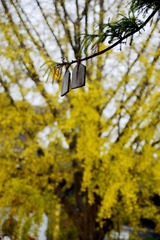 DSC_0078.jpg