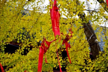 DSC_0094.jpg