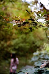 DSC_0197.jpg