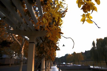 DSC_0418.jpg