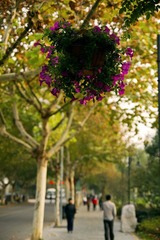 DSC_0427.jpg