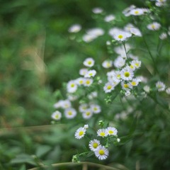 IMG_8298.jpg