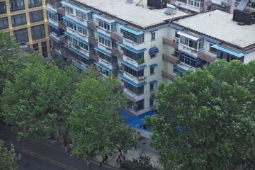 IMG_9146.jpg