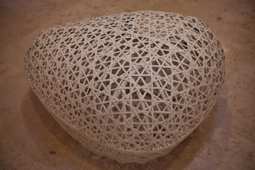 IMG_9237.jpg