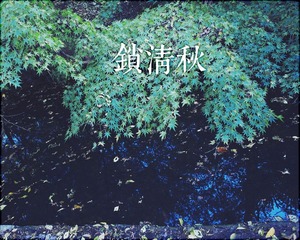 IMG_2811.jpg