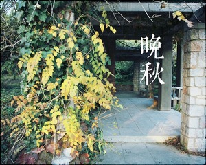 IMG_2835.jpg