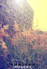 CRW_5018.jpg