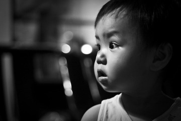 我们家的大小姐