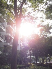 早晨