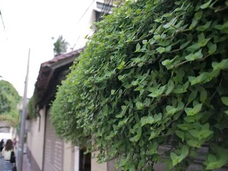 P9203103-2.jpg