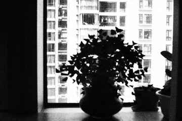 P9213118.JPG