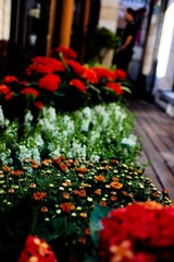 P9233130-2.jpg