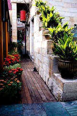 P9233137-2.jpg