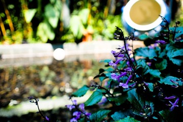 P9233139-2.jpg