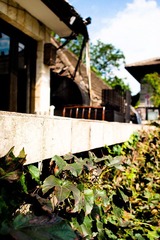 P9233146-2.jpg