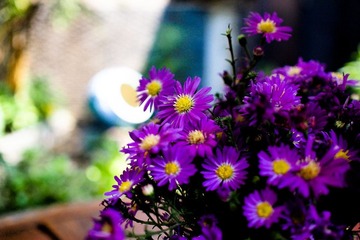 P9233135-2.jpg