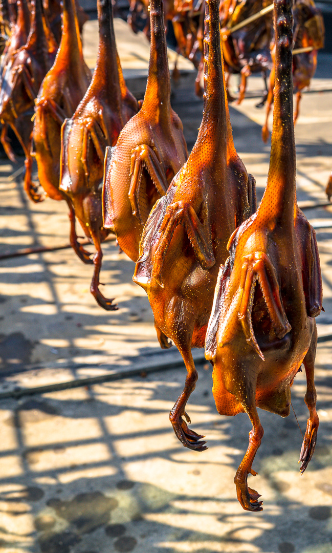 晒晒酱油鸭 - 紫苍version - 图虫