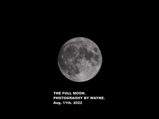 253301