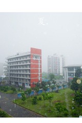 小清新