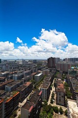 IMG_7026.jpg