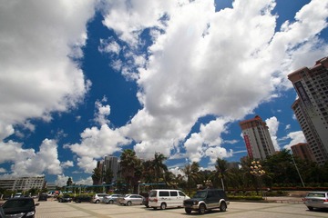 IMG_7067.jpg