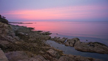 DSC05884.jpg
