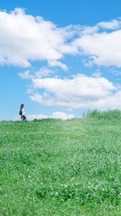 B5257795-9B98-4F74-B3F6-F7EDEB069590/L0/001