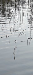 1000018349