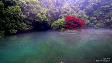 IMG_6465-1