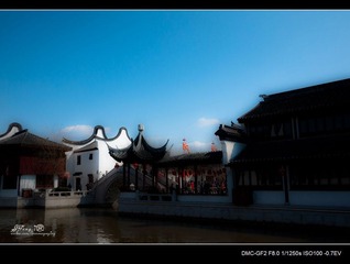 _1050139.jpg