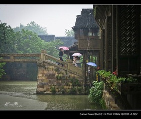 IMG_1596.jpg