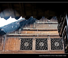 IMG_1636.jpg