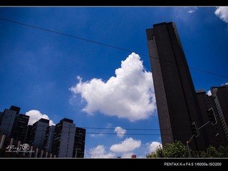 IMGP9560.jpg