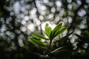 IMG_5869.jpg